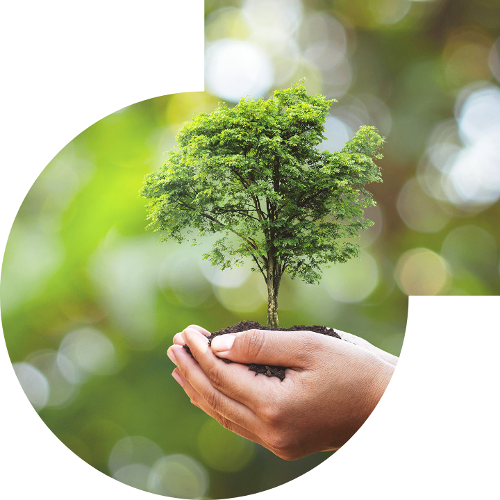 关怀人类、文化、环境与社会